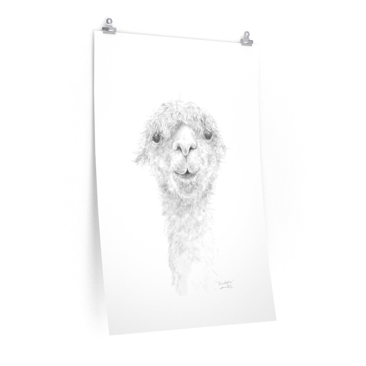CHRISTOPHER Llama- Art Paper Print