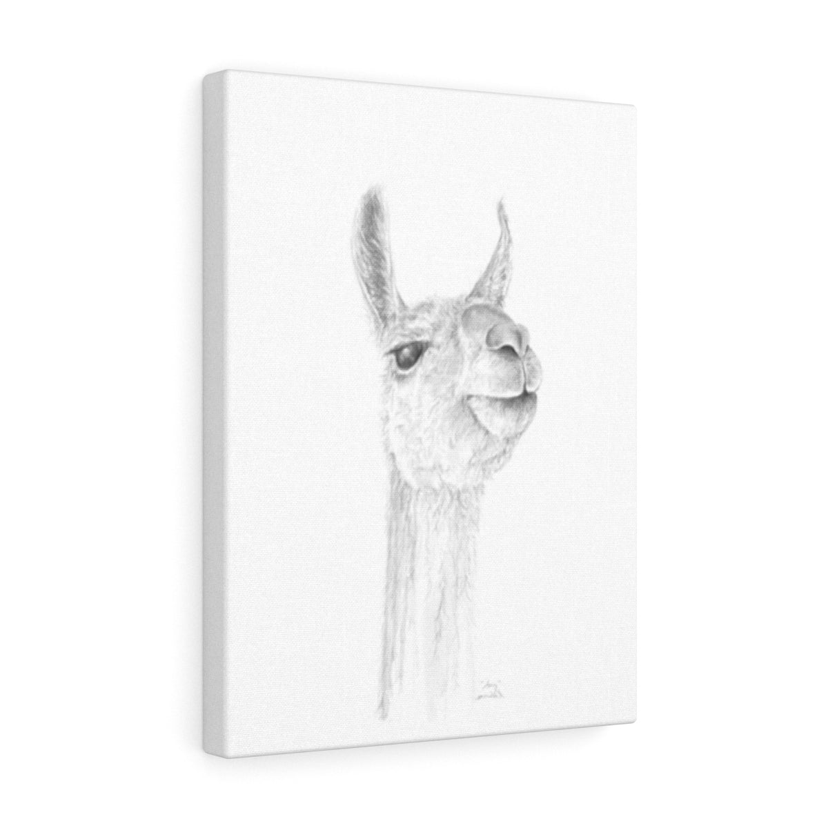 AMY Llama - Art Canvas