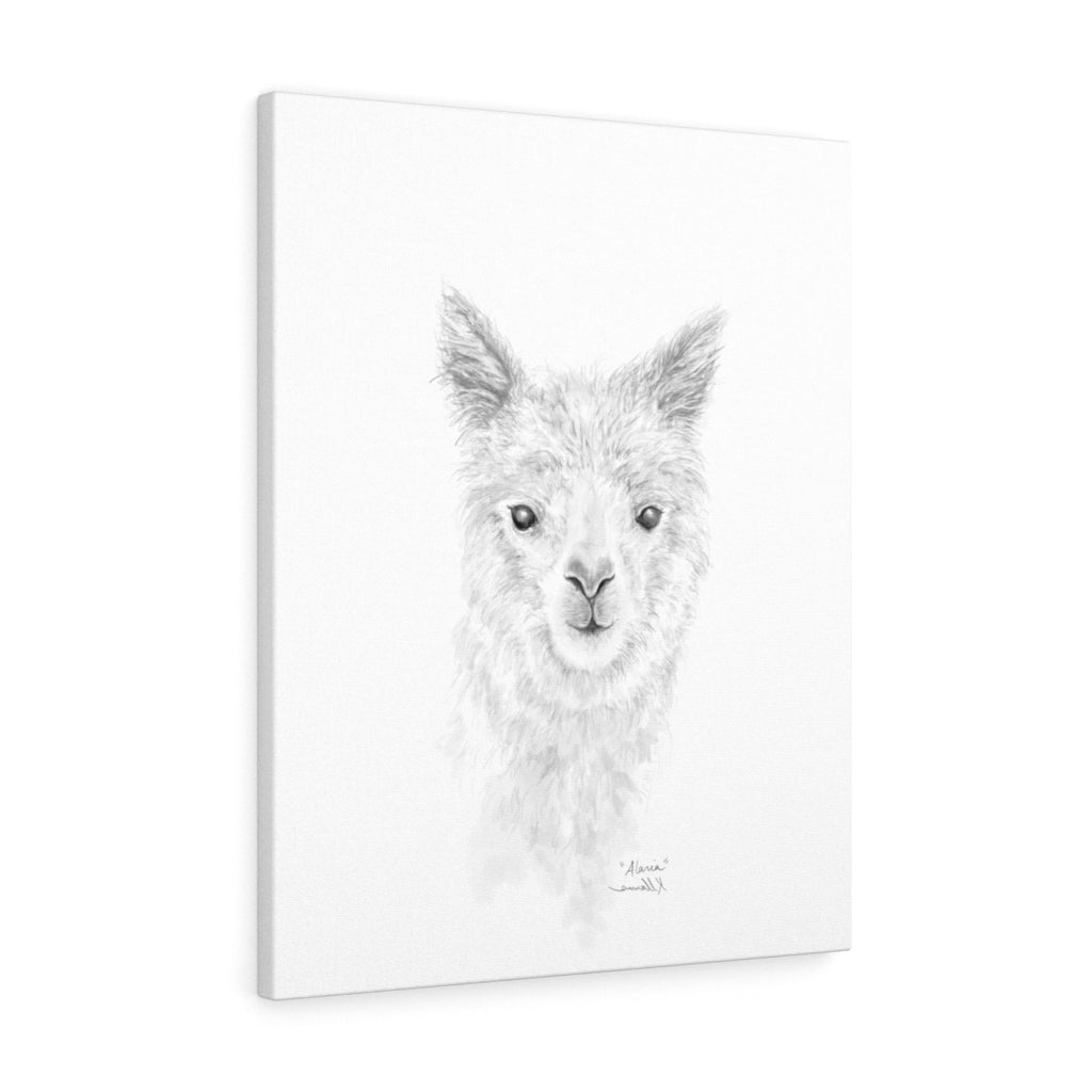 ALARIA Llama- Art Canvas