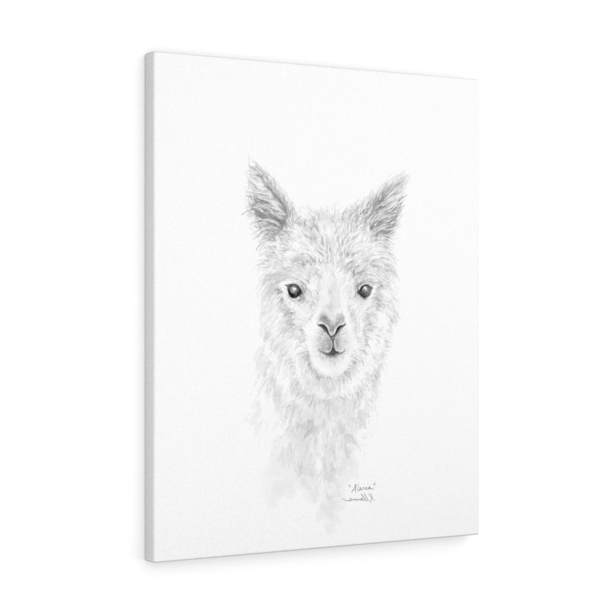ALARIA Llama- Art Canvas