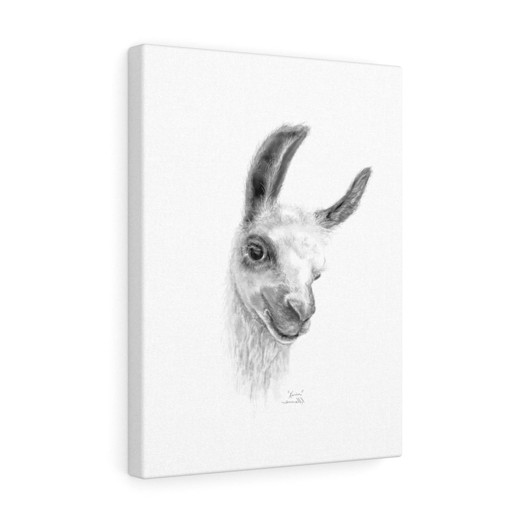 KARIN Llama - Art Canvas