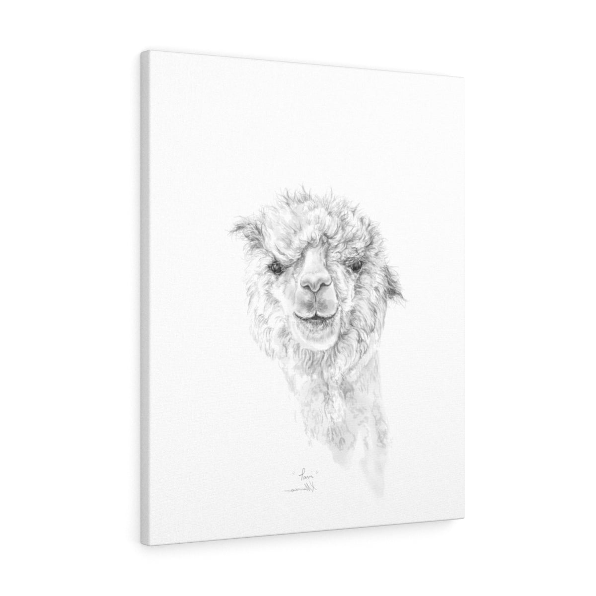 TAVI Llama - Art Canvas