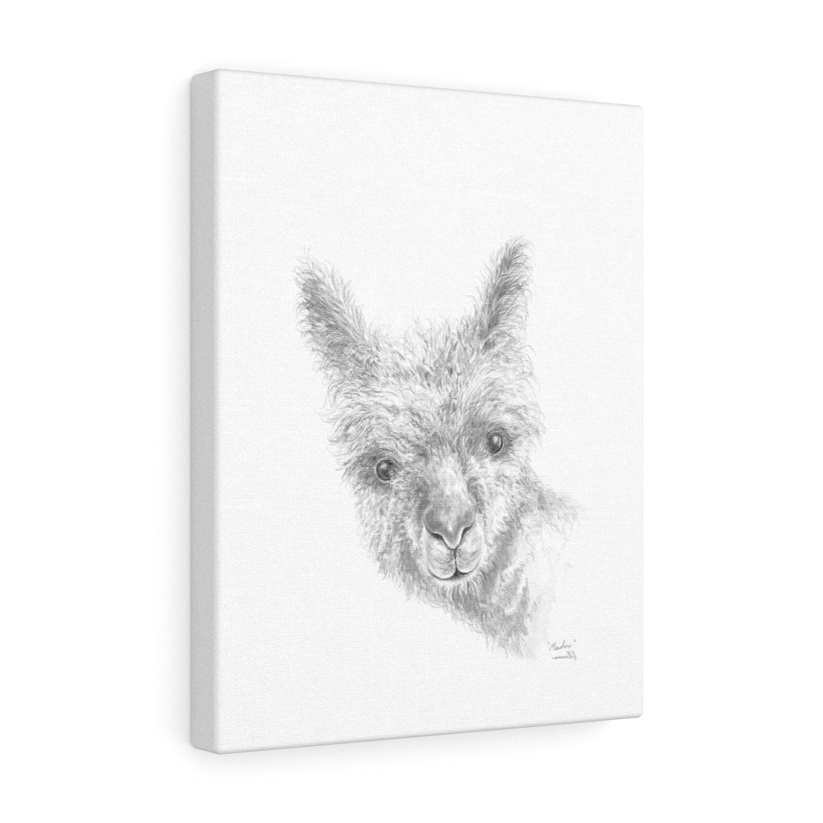 MEADOW Llama - Art Canvas