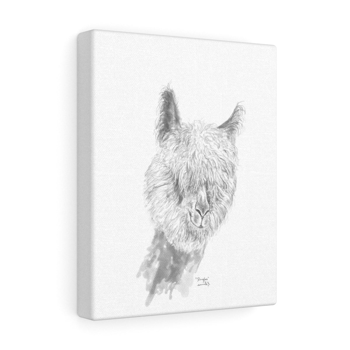 DOUGLAS Llama - Art Canvas