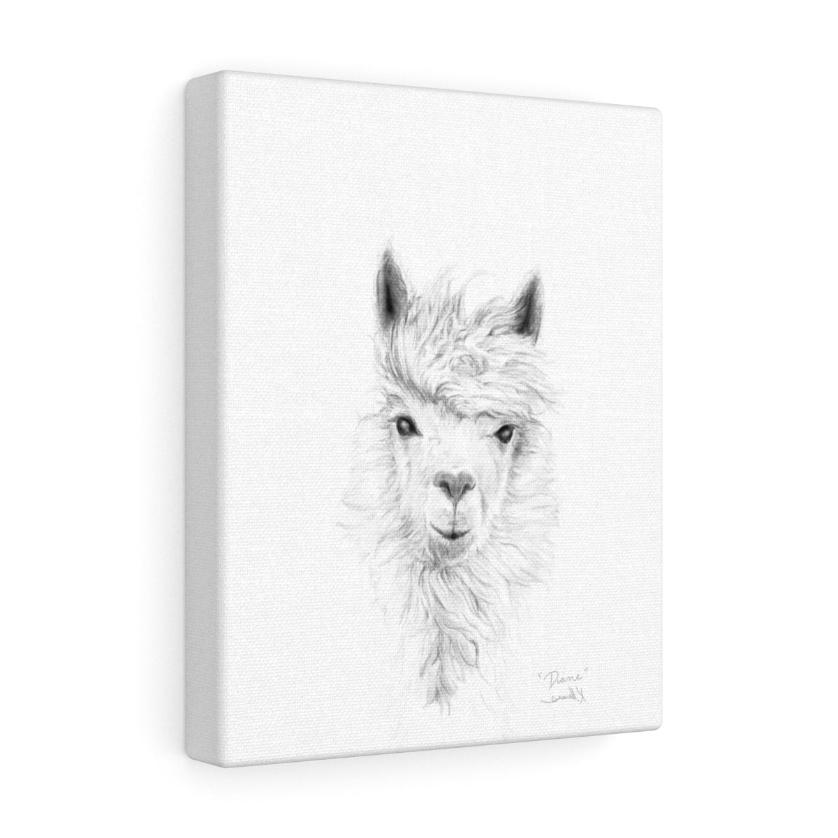 DIANE Llama - Art Canvas