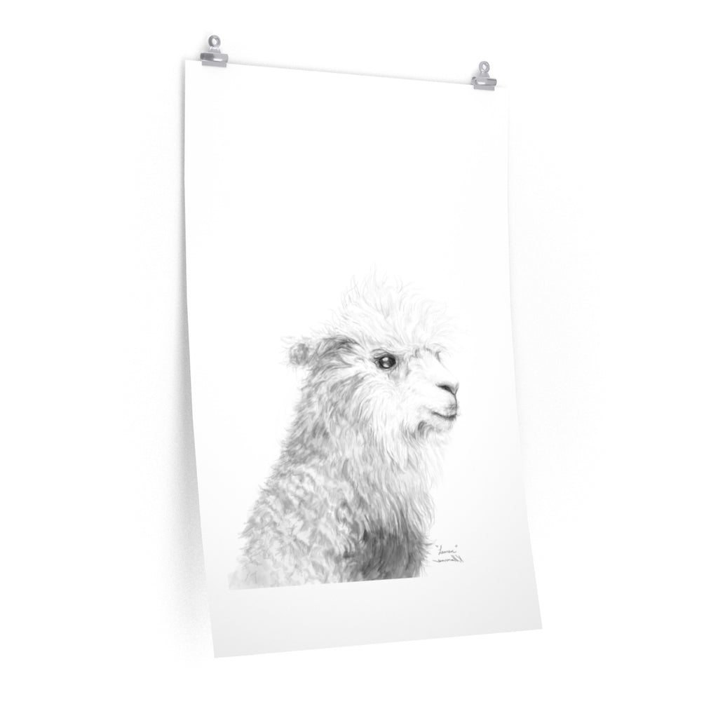 LAUREN Llama- Art Paper Print