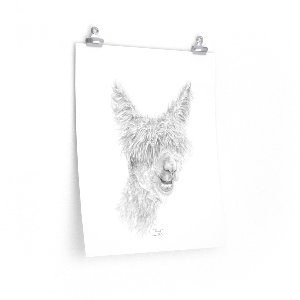 DAVID Llama- Art Paper Print