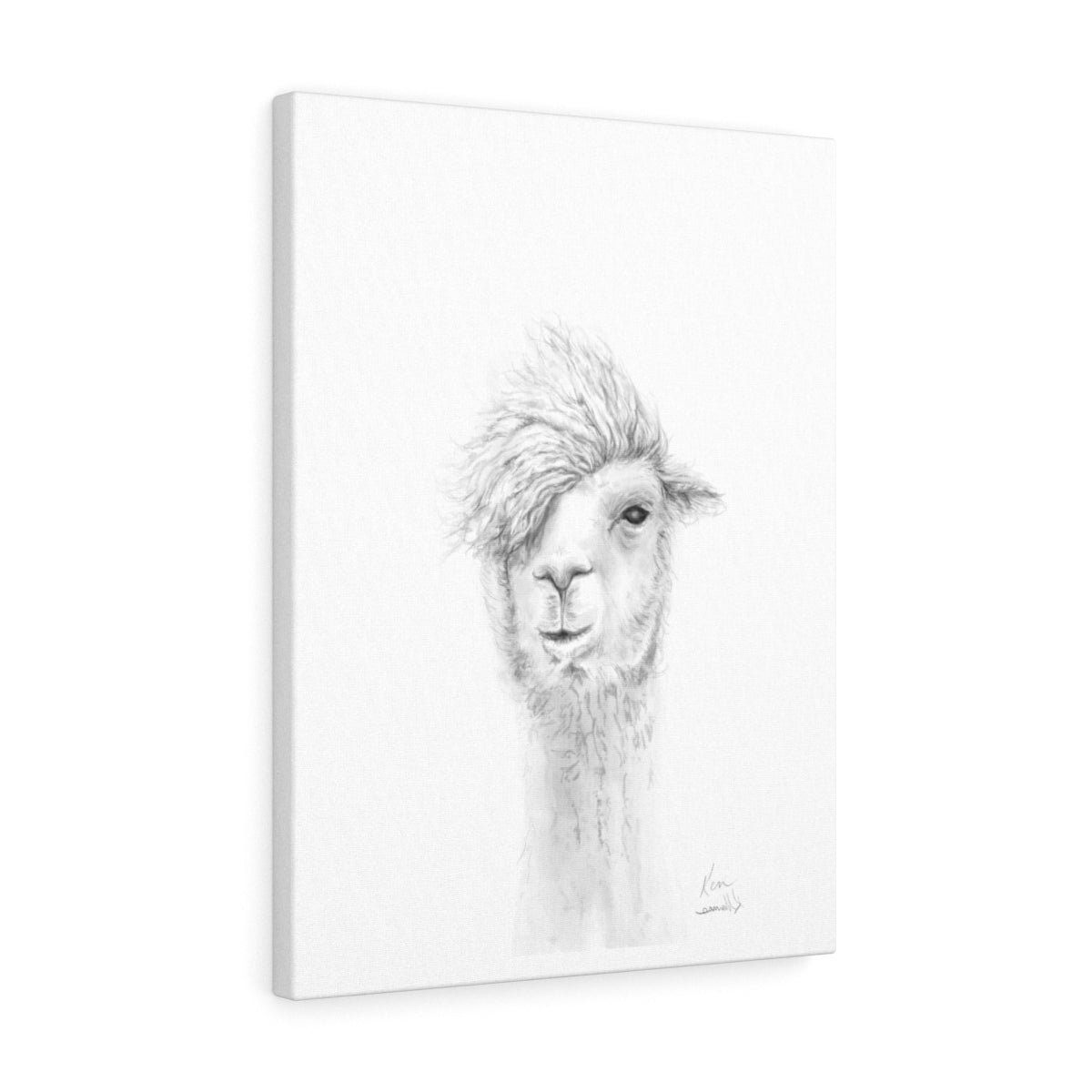 KEN Llama - Art Canvas