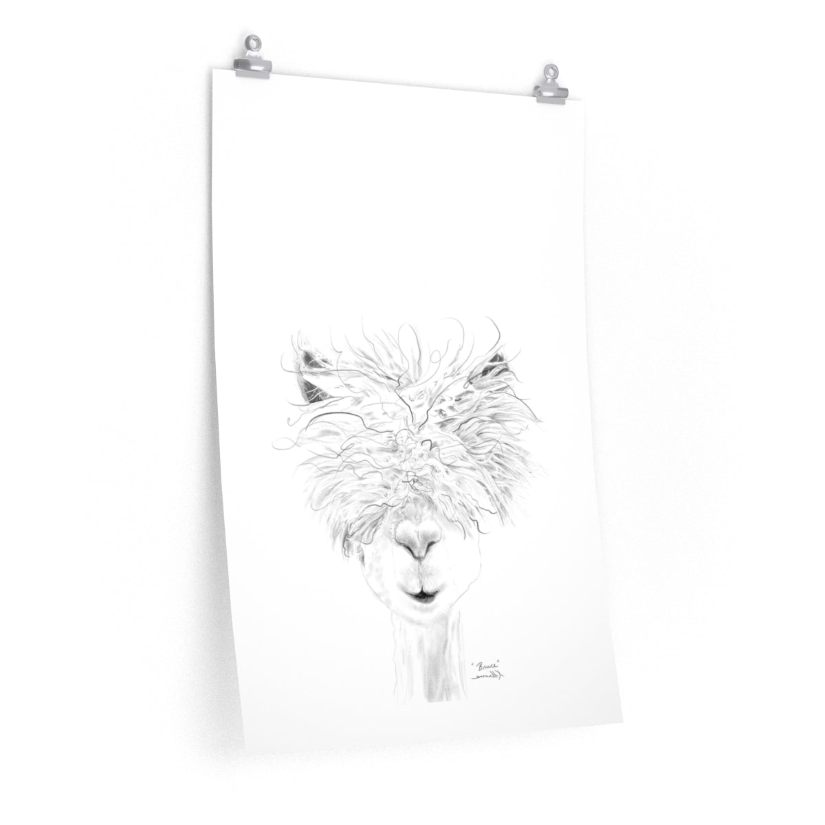BRUCE Llama- Art Paper Print