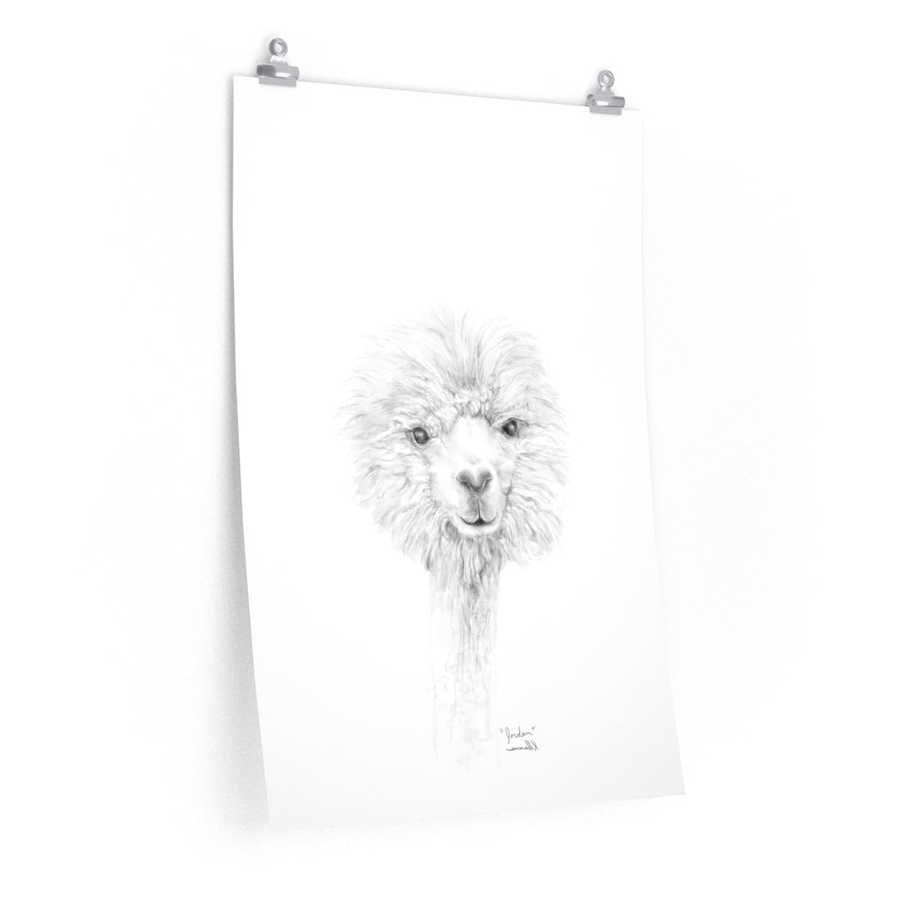 JORDAN Llama- Art Paper Print
