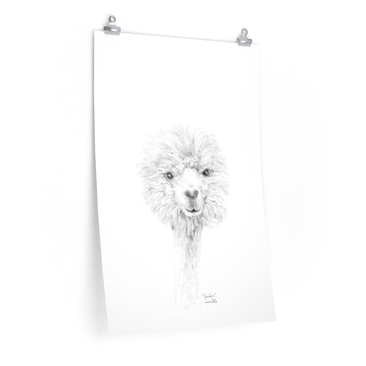 JORDAN Llama- Art Paper Print