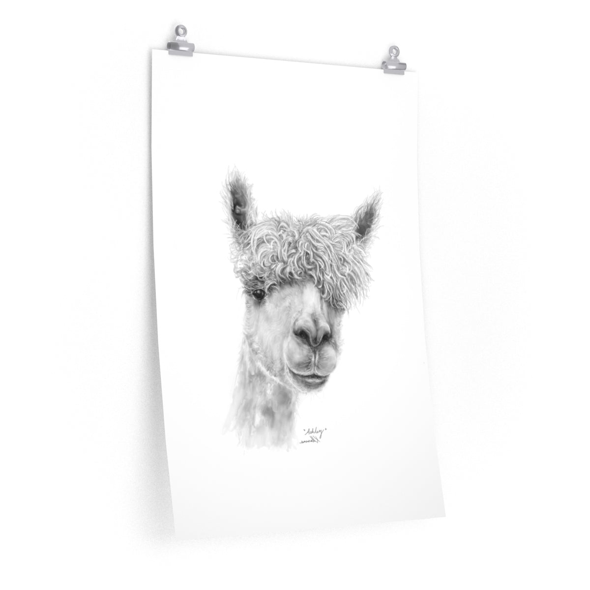 ASHLEY Llama - Art Paper Print