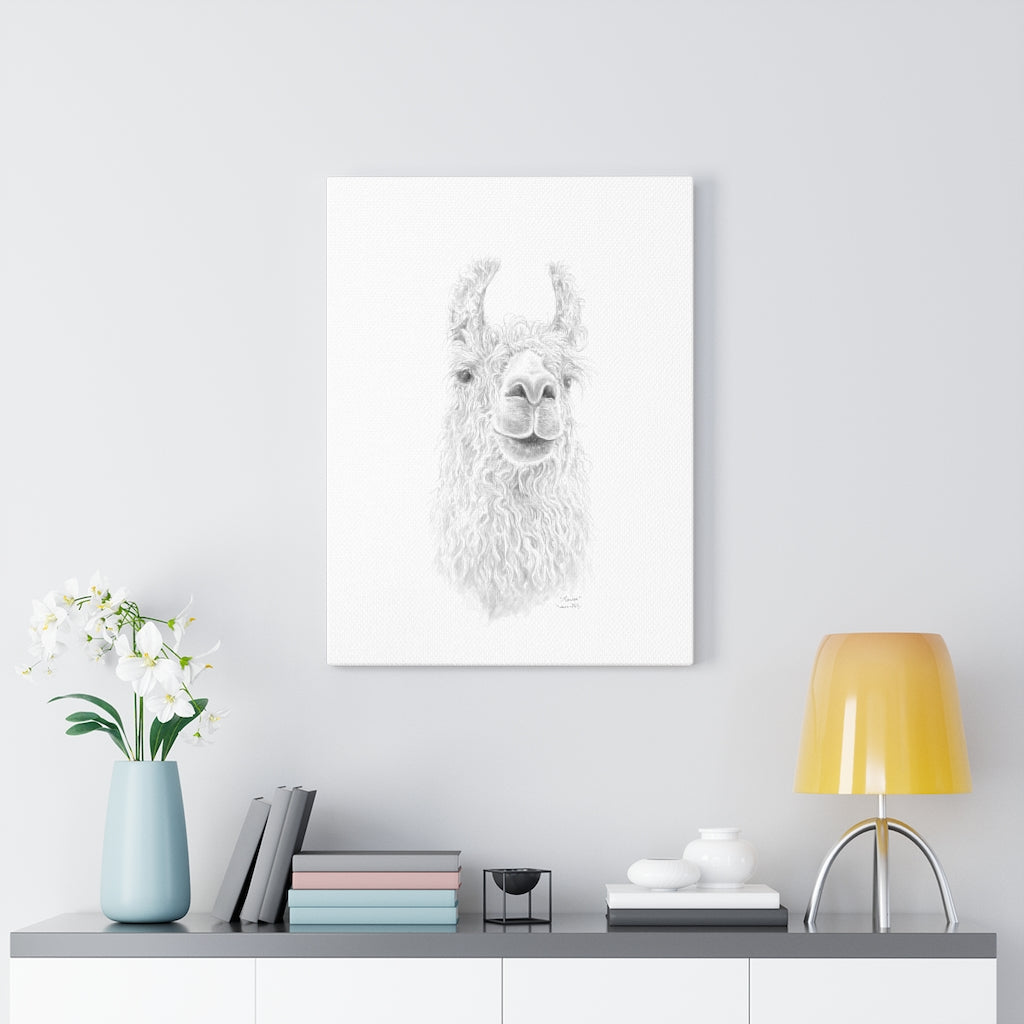 MARISA Llama - Art Canvas