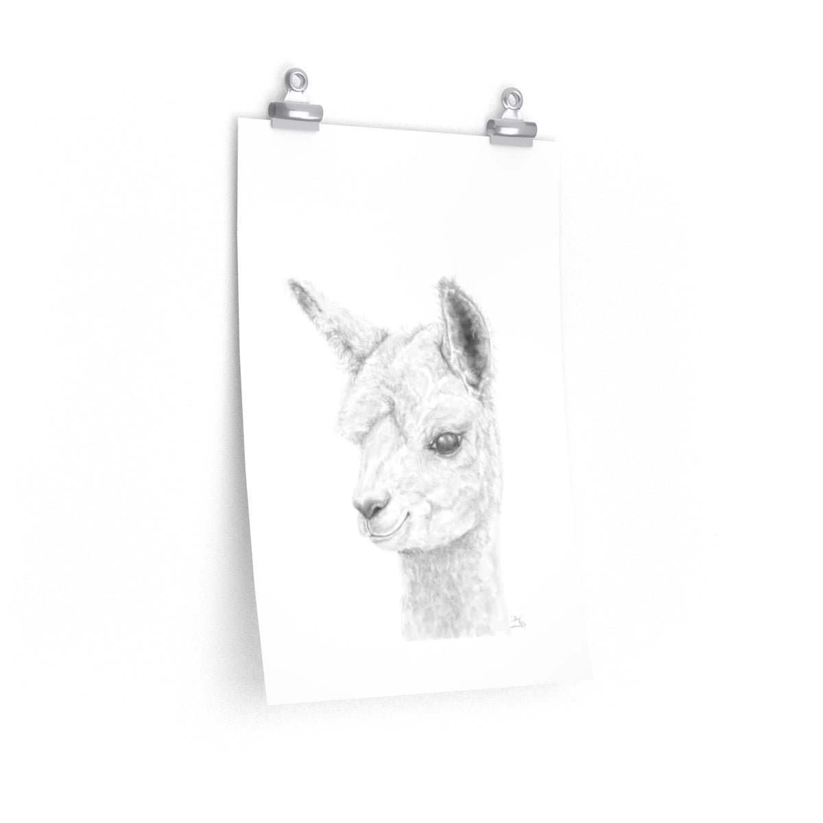 SKY Llama- Art Paper Print