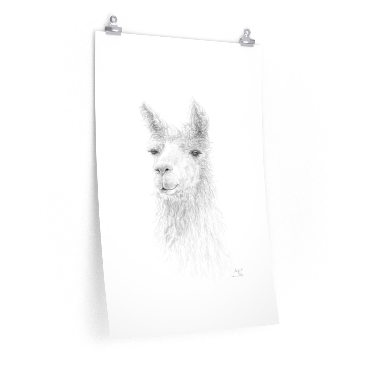 ABIGAIL Llama- Art Paper Print