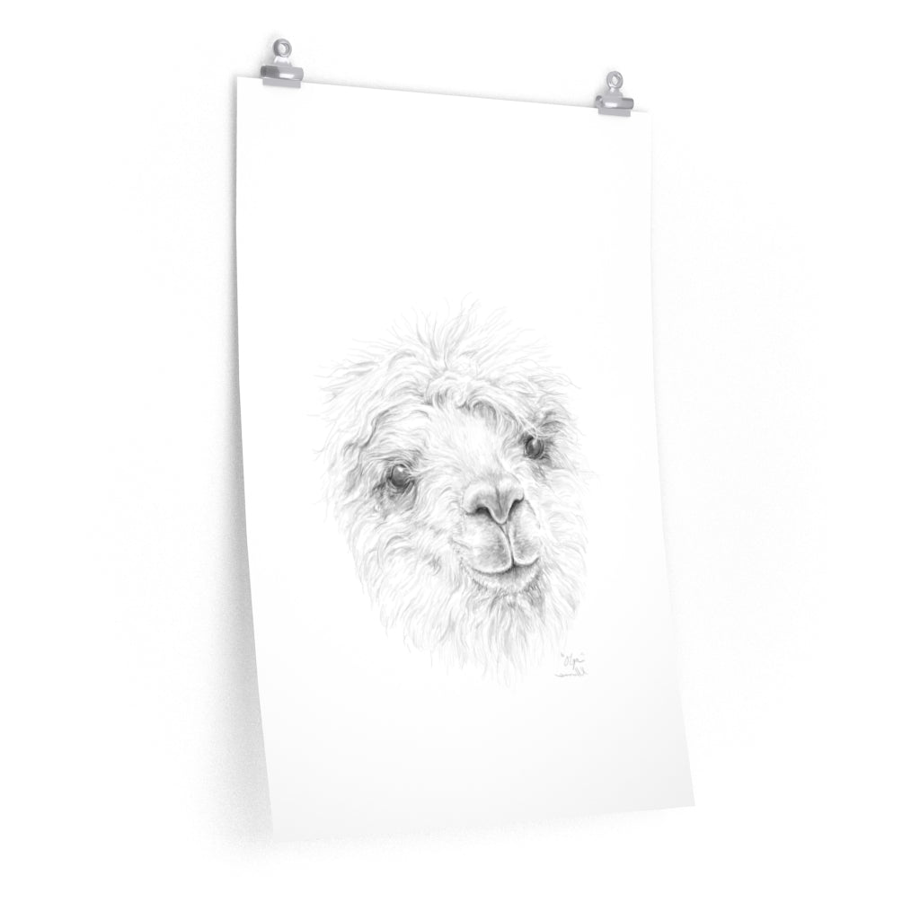 OLGA Llama- Art Paper Print