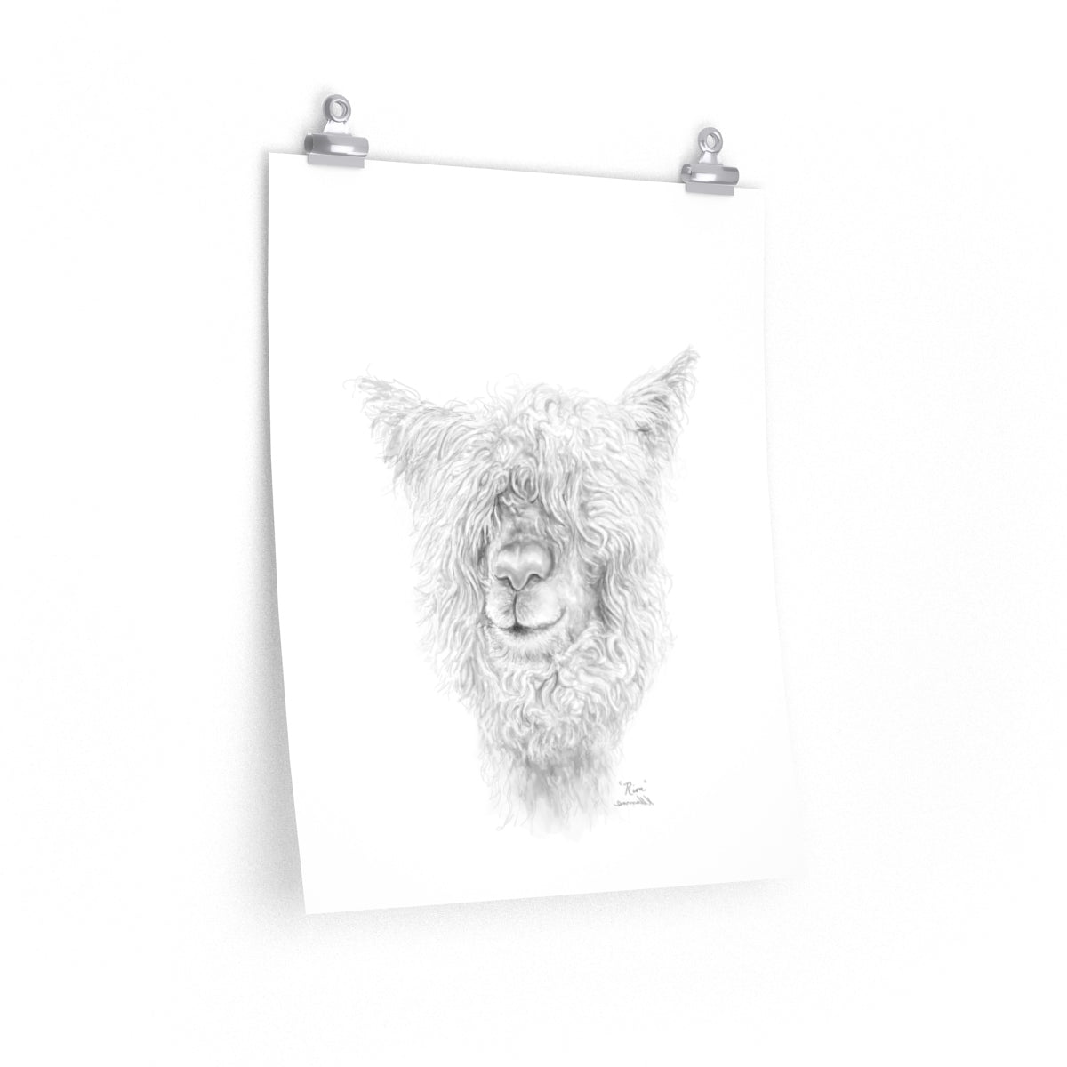 RION Llama- Art Paper Print
