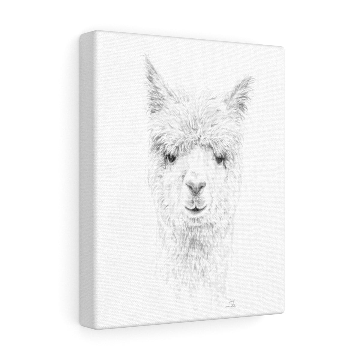 DOUG Llama - Art Canvas