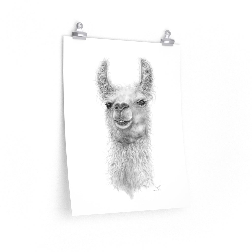 CRYSTAL Llama- Art Paper Print