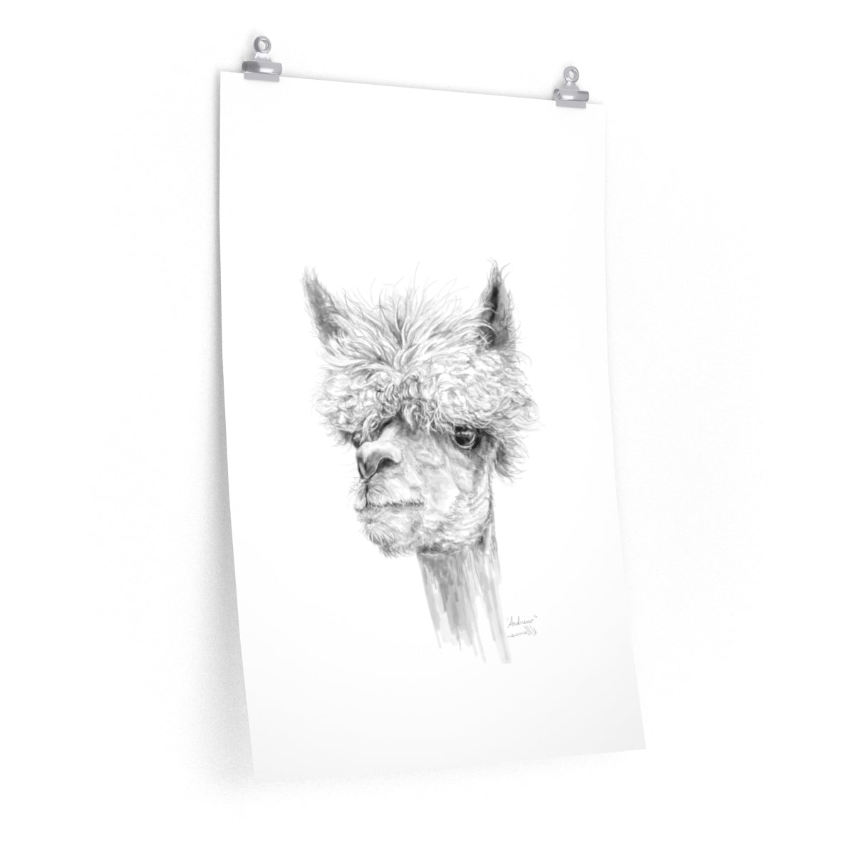 ANDREW Llama- Art Paper Print