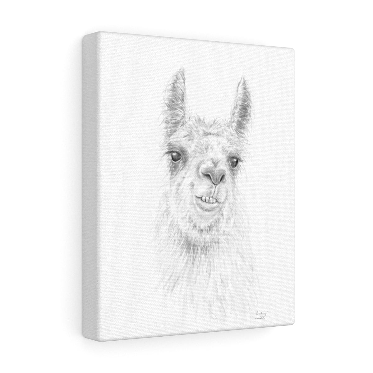 COURTNEY Llama - Art Canvas