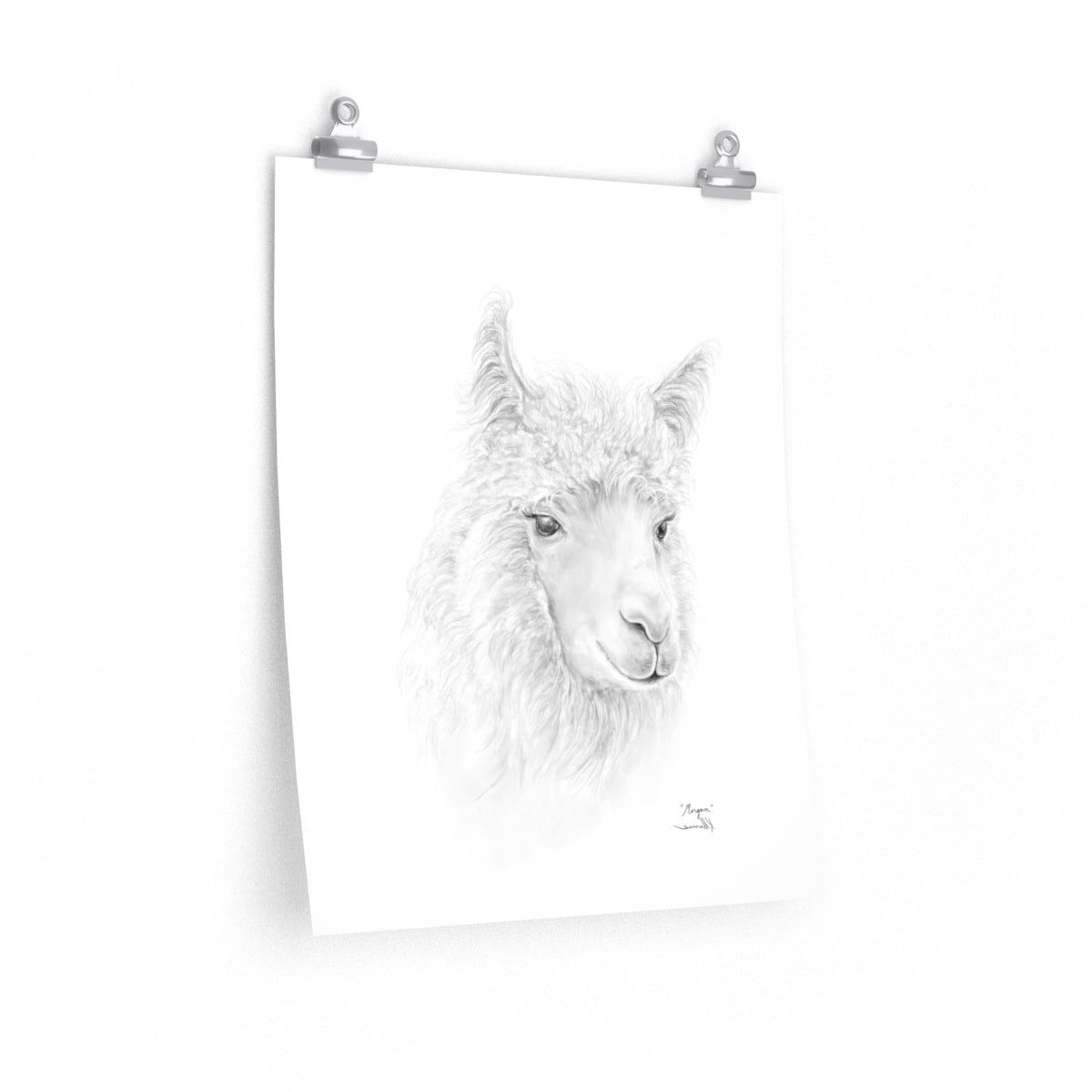 MORGAN Llama- Art Paper Print