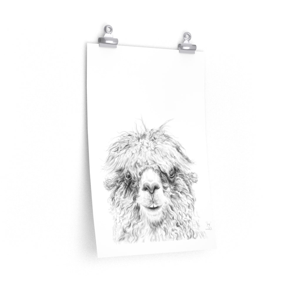 JAY Llama- Art Paper Print