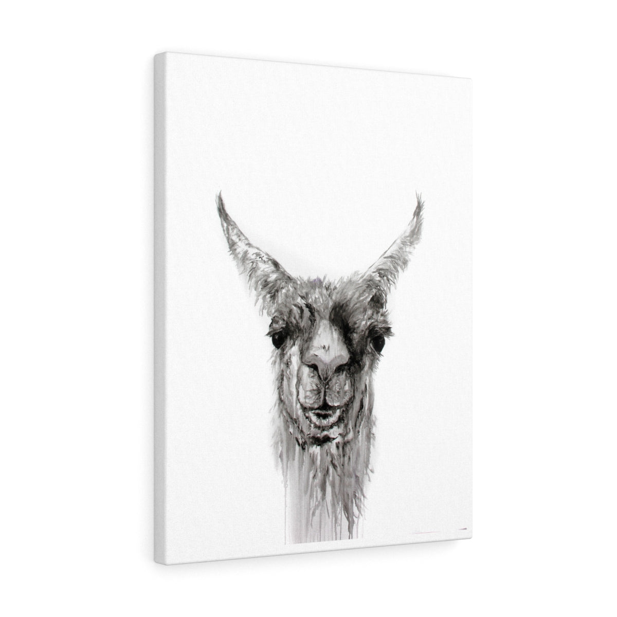 NEMORIO Llama - Art Canvas
