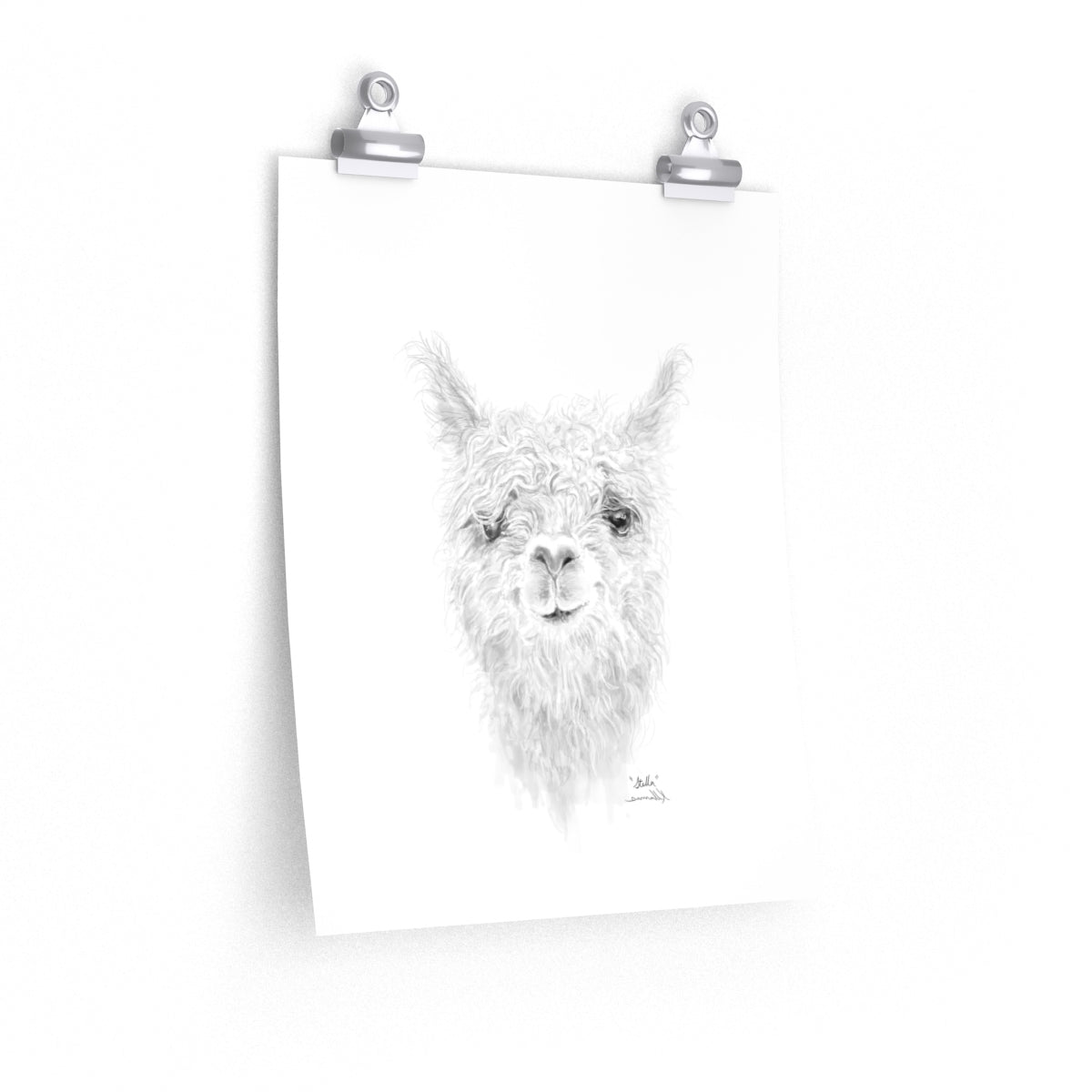STELLA Llama- Art Paper Print