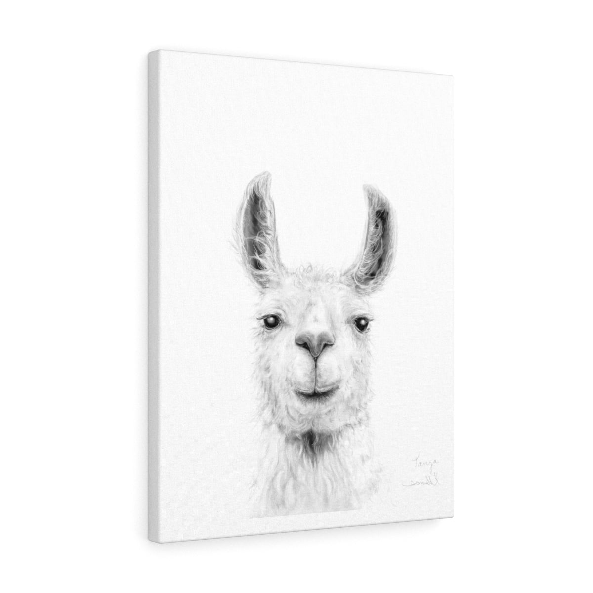 TANYA Llama - Art Canvas