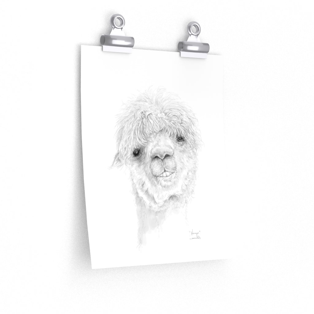 HOUZER Llama- Art Paper Print