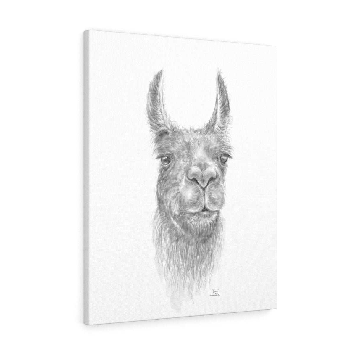EVAN Llama - Art Canvas