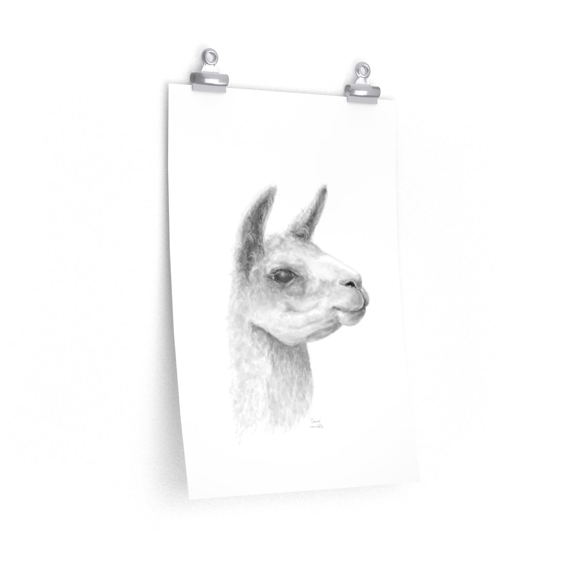 CIERRA Llama- Art Paper Print