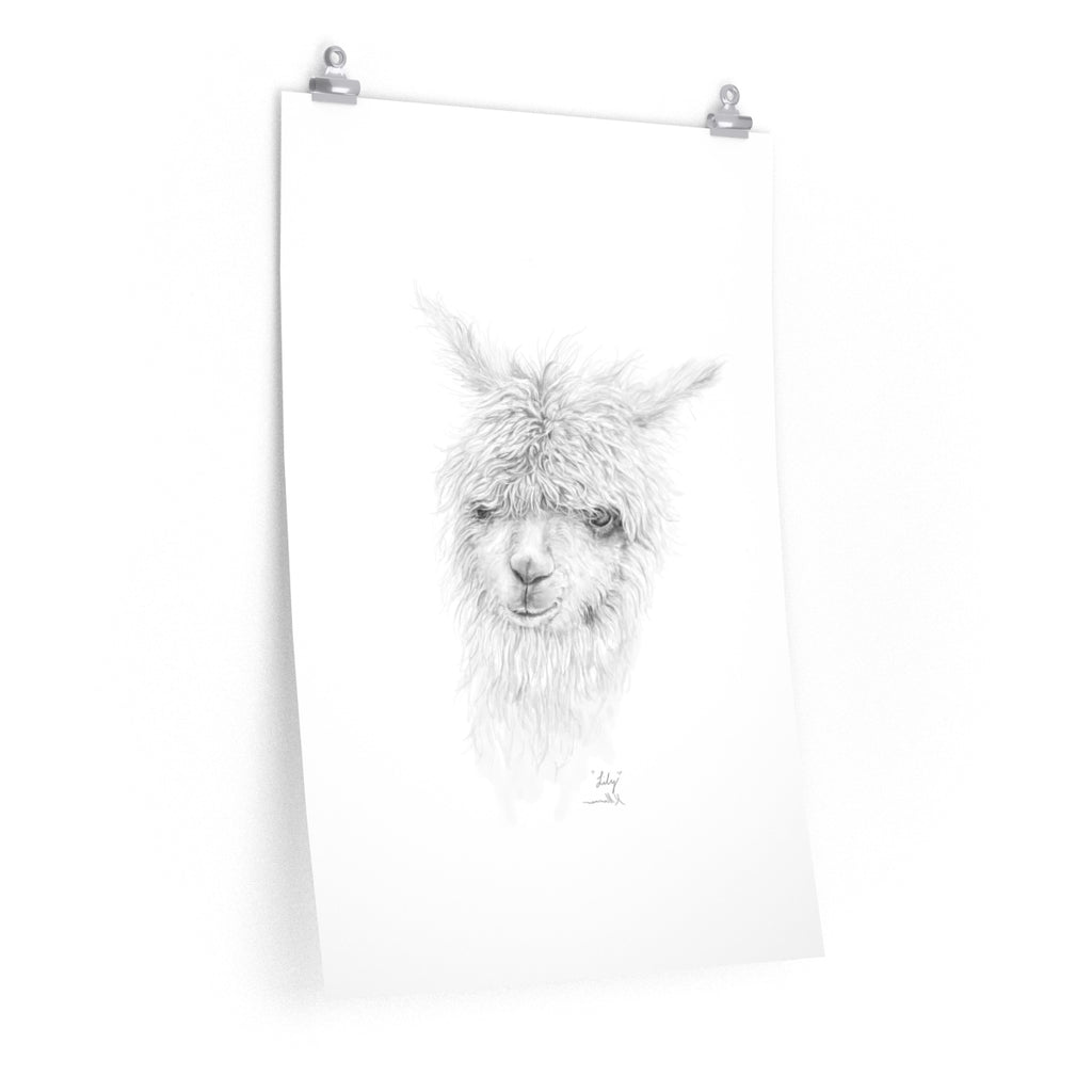 LILY Llama- Art Paper Print