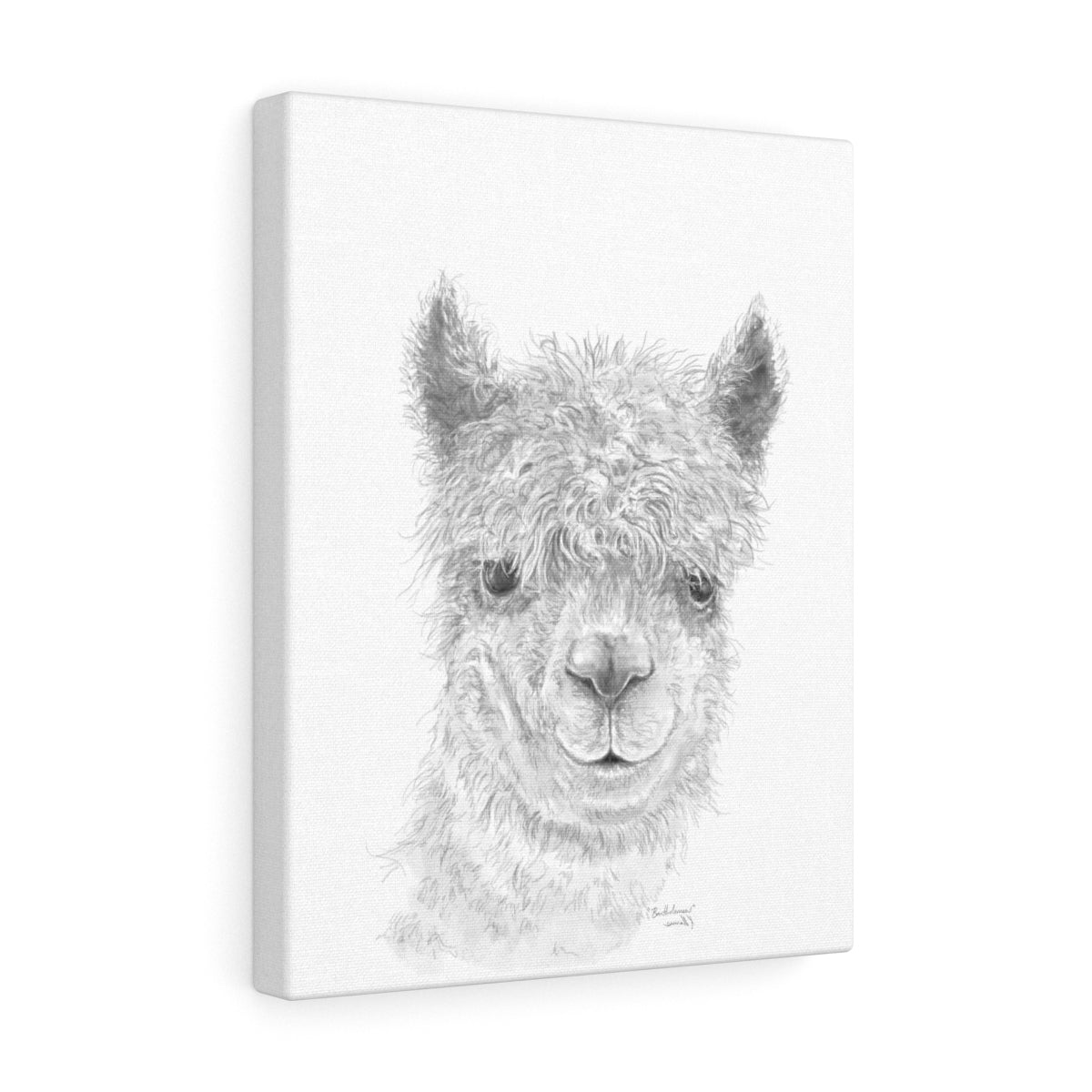 BARTHOLOMEW Llama - Art Canvas