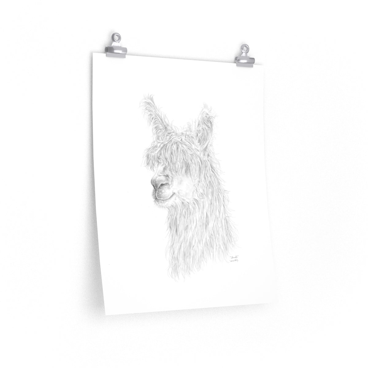 SHONDA Llama- Art Paper Print