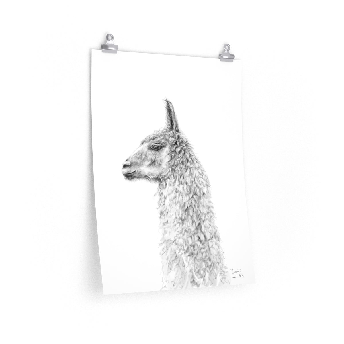 CASSIE Llama- Art Paper Print