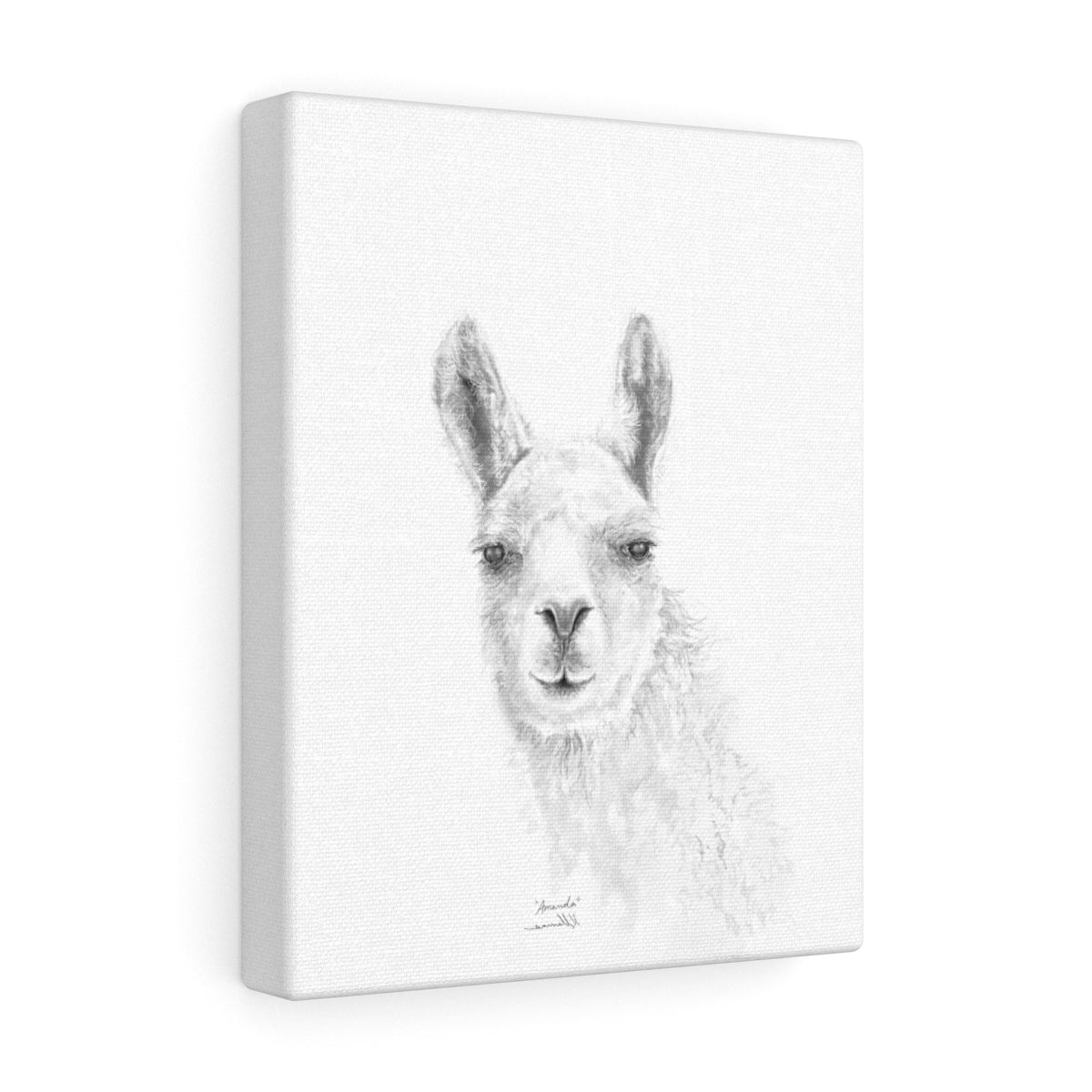 AMANDA Llama - Art Canvas