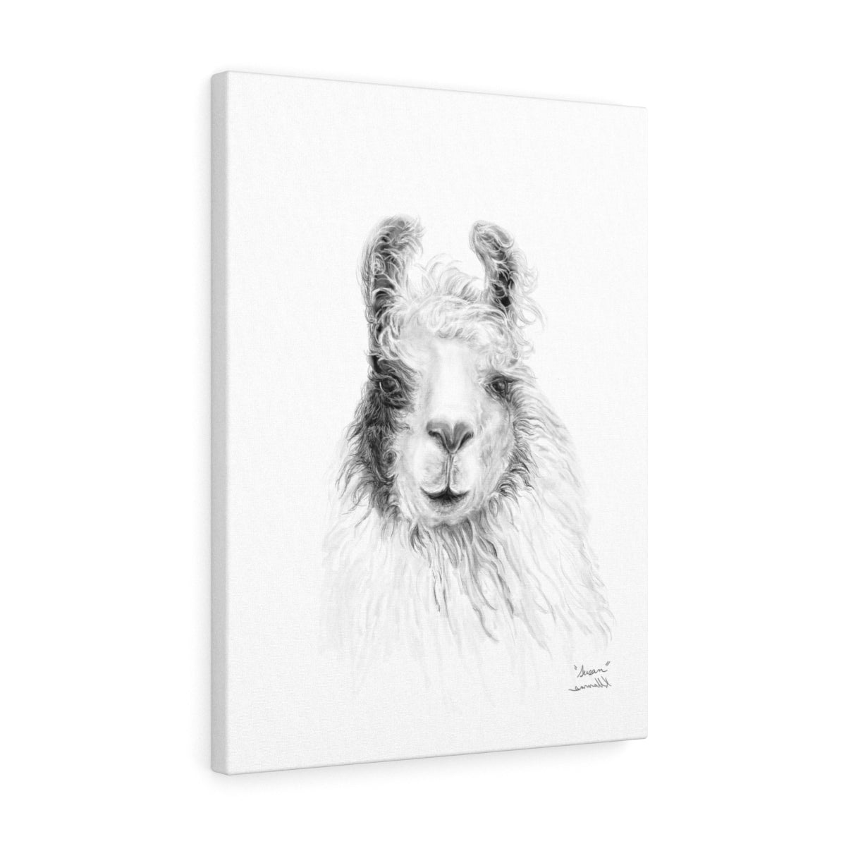 SUSAN Llama - Art Canvas