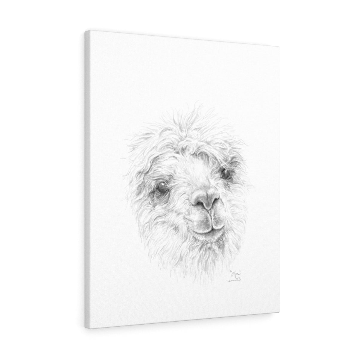 OLGA Llama - Art Canvas