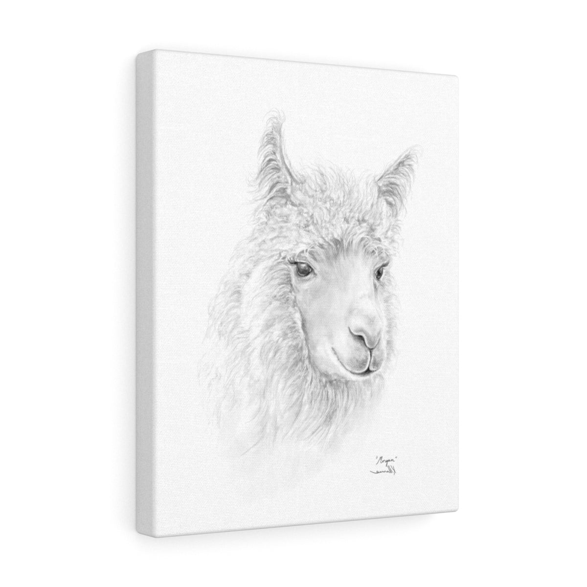 MORGAN llama- Art Canvas