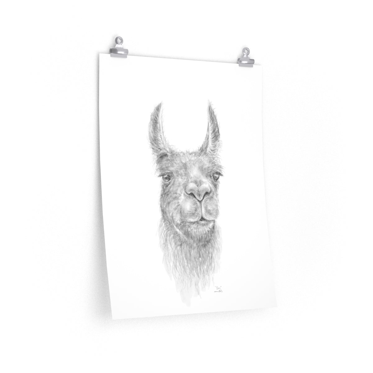 EVAN Llama- Art Paper Print