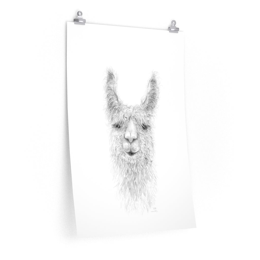 NIKKI Llama- Art Paper Print