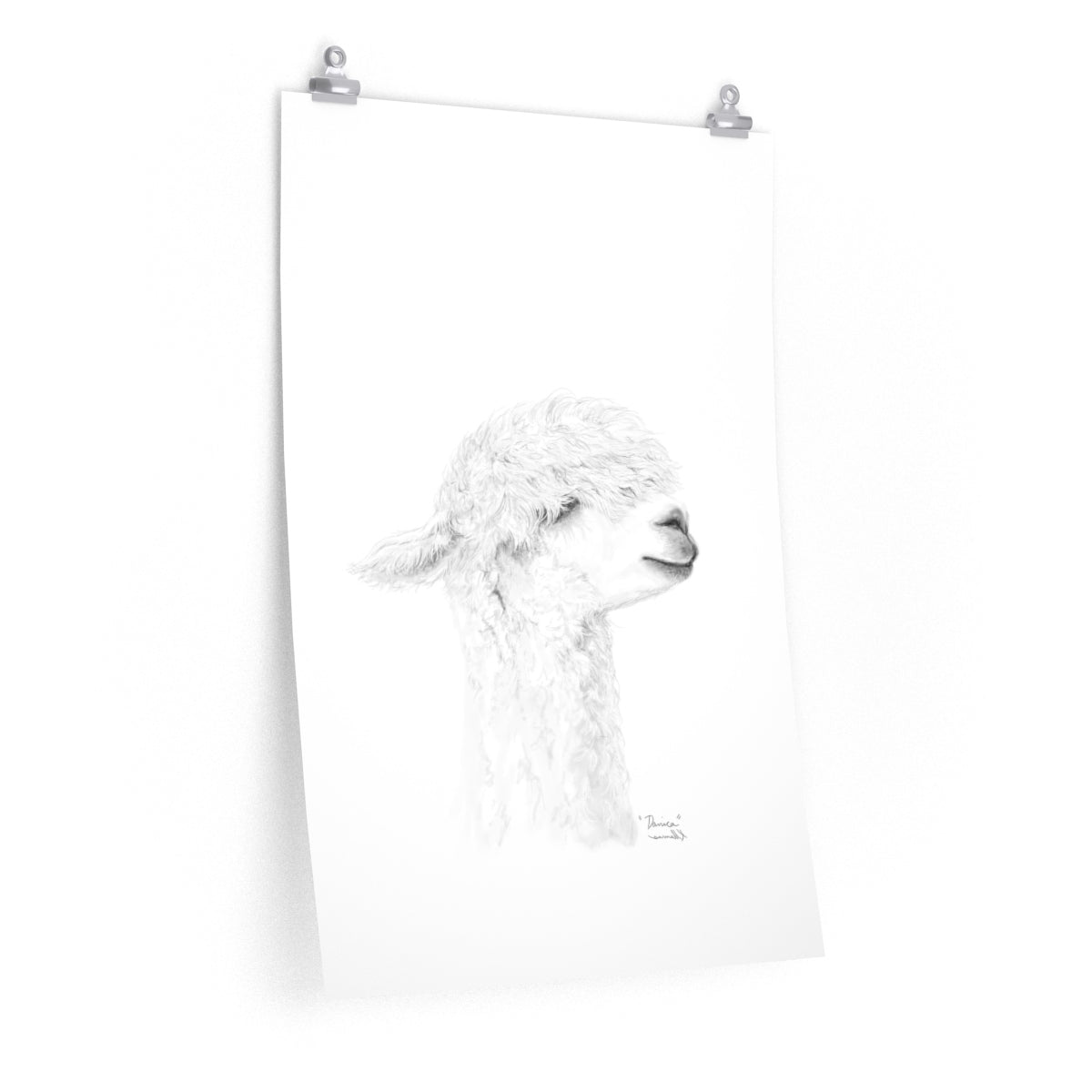 DANICA Llama- Art Paper Print