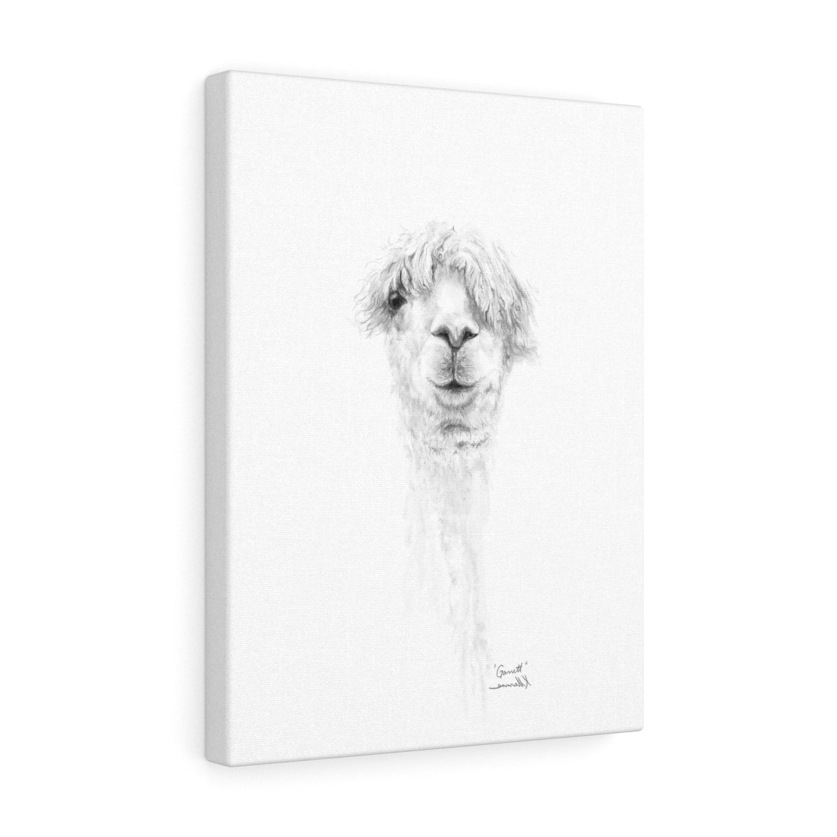GARRETT Llama - Art Canvas