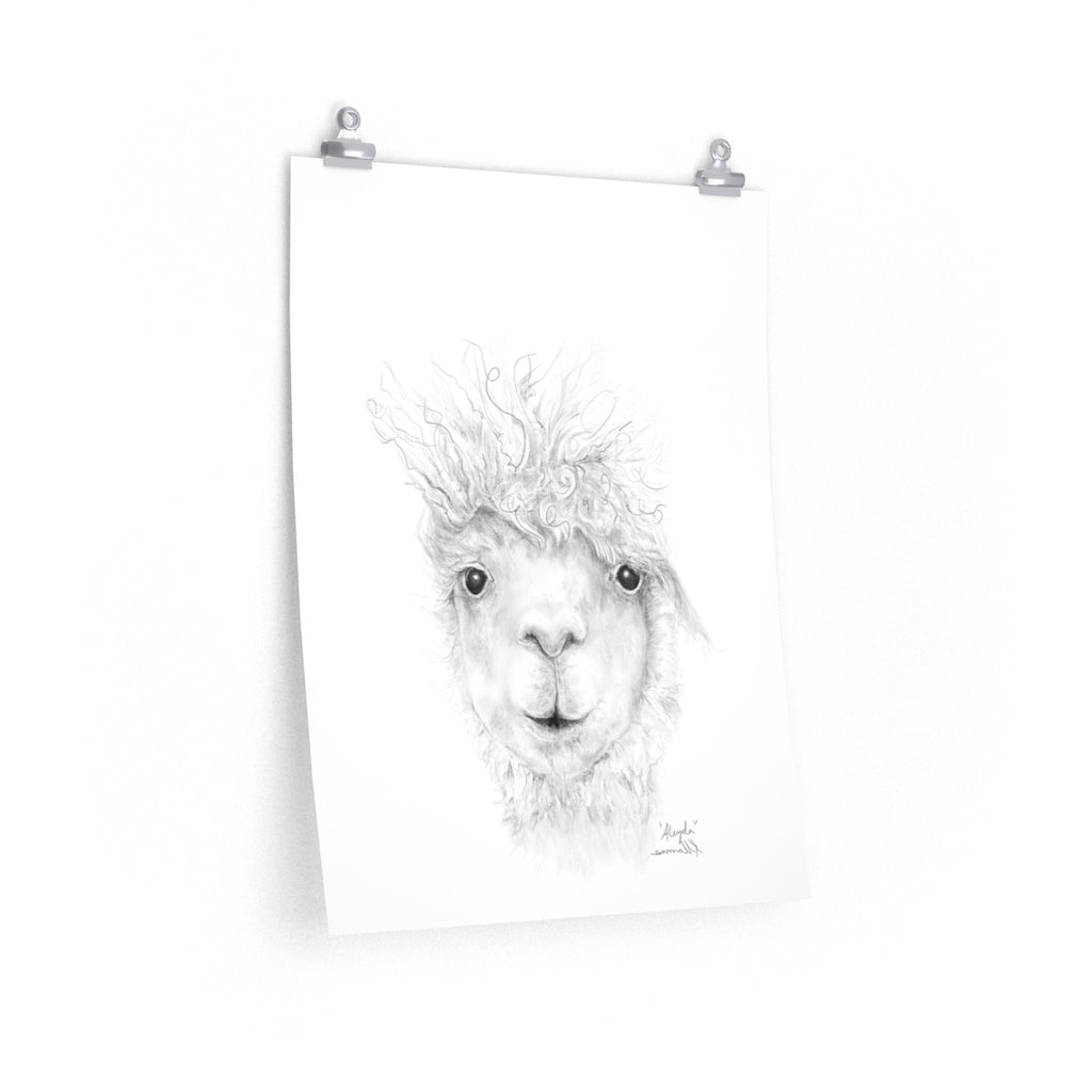ALEYDA Llama- Art Paper Print