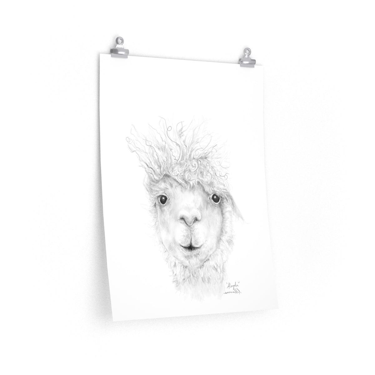 ALEYDA Llama- Art Paper Print