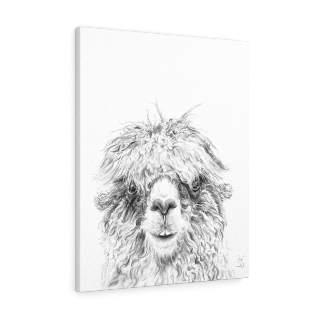 JAY Llama - Art Canvas