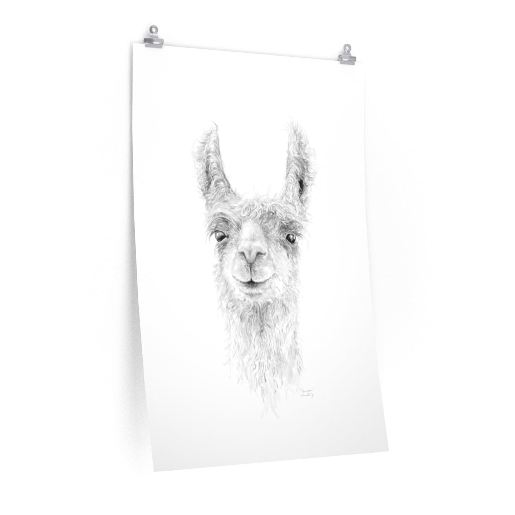 JAMESON Llama- Art Paper Print