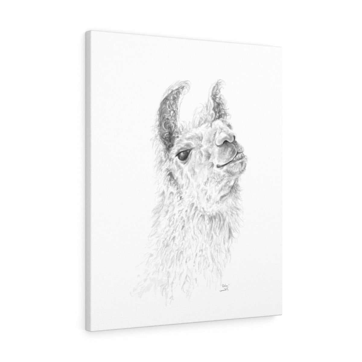 RODNEY Llama - Art Canvas